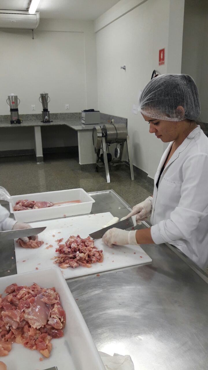 CARNE - PREPARO DE MATERIA PRIMA